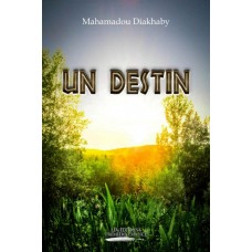 Un destin - Mahamadou Diakhaby